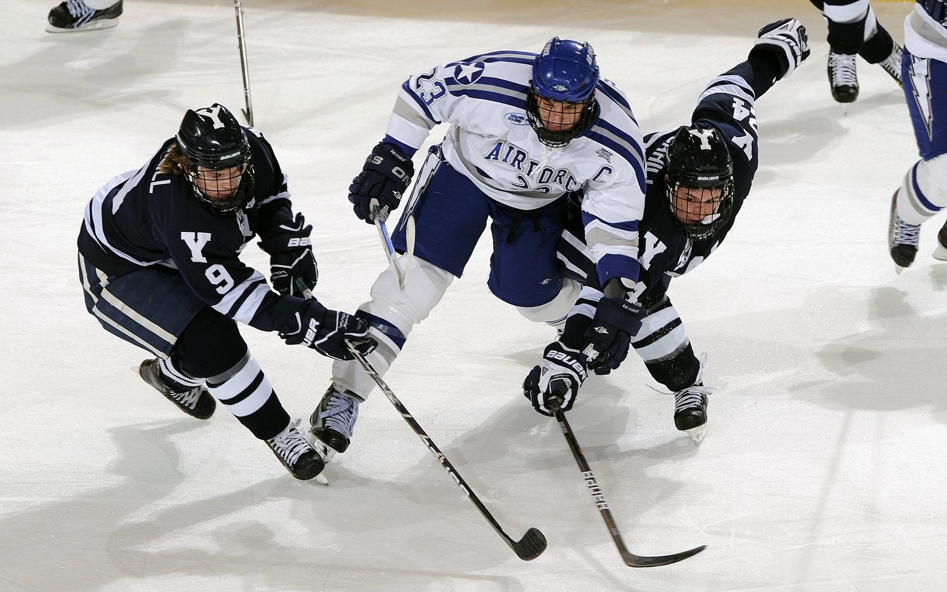 中国武术散打2026年将尝试与MMA联合推广赛事